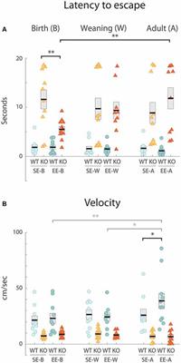 Environmental Enrichment Rescues Visually-Mediated Behavior in Ten-m3 Knockout Mice During an Early Critical Period